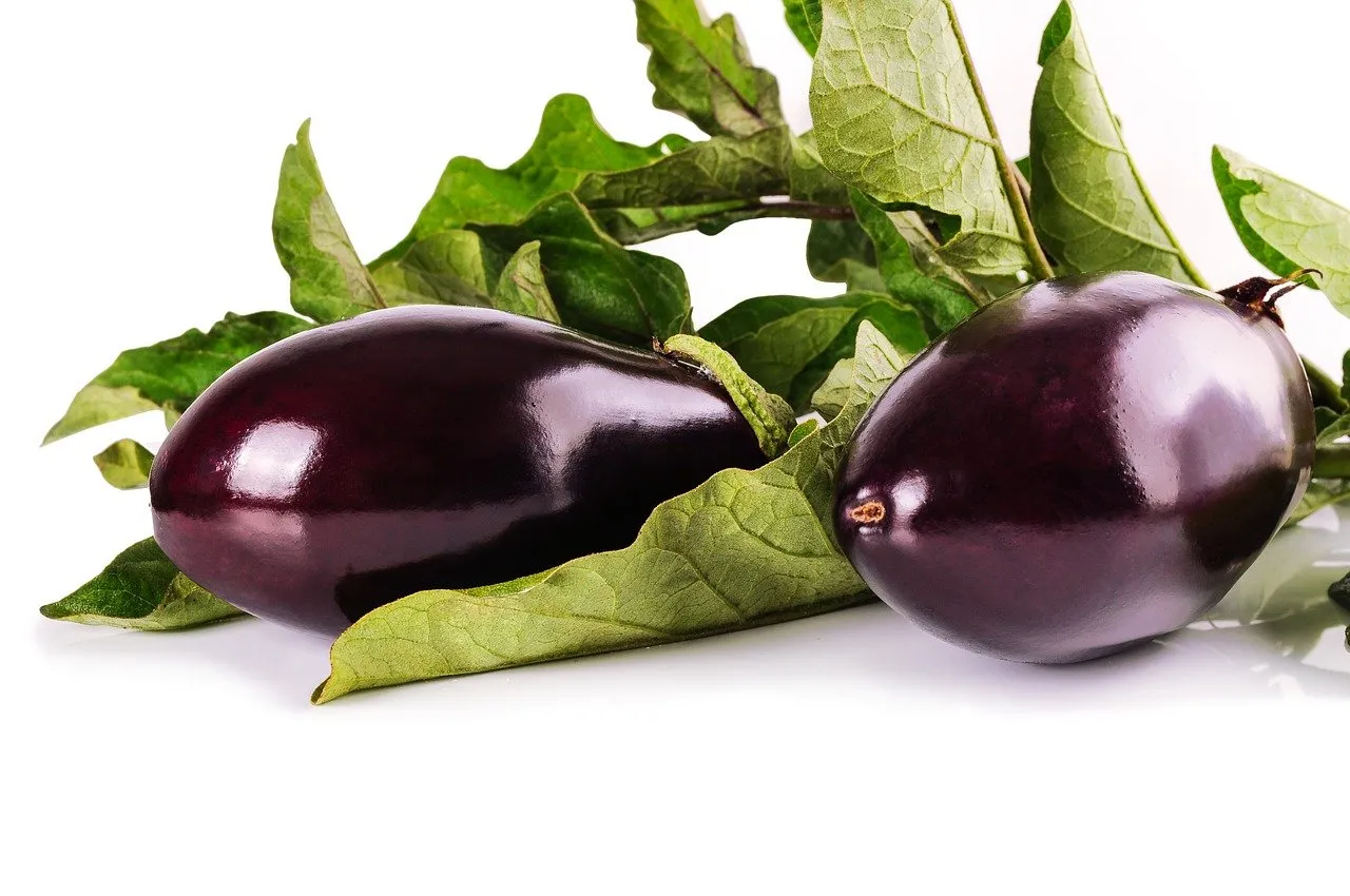 Aubergine est un aliment brûleur de graisses