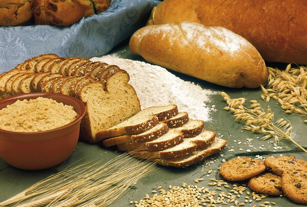 alimentation complète pour bruler des graisses