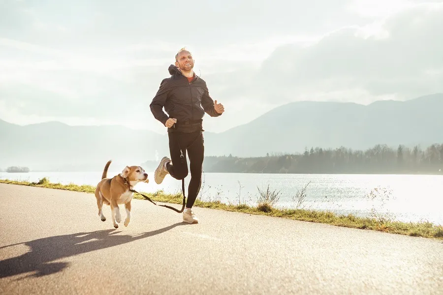 les sports à pratiquer avec votre chien