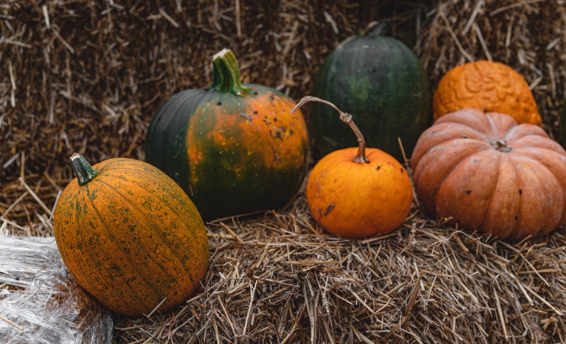 Potirons : 8 Raisons D'en Consommer Régulièrement