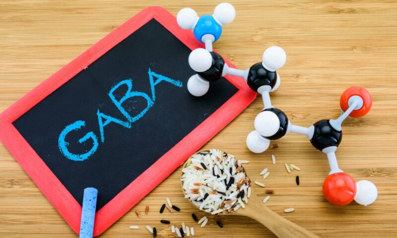 Les différentes formes de GABA disponibles sur le marché